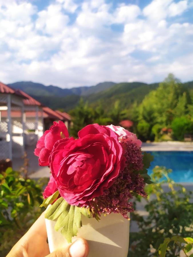 Bliss Hotel Габала Екстериор снимка